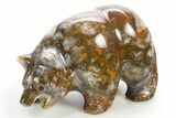 Realistic Polished Colorful Jasper/Agate Bear - India #308467-1